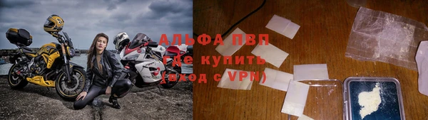 spice Богородск