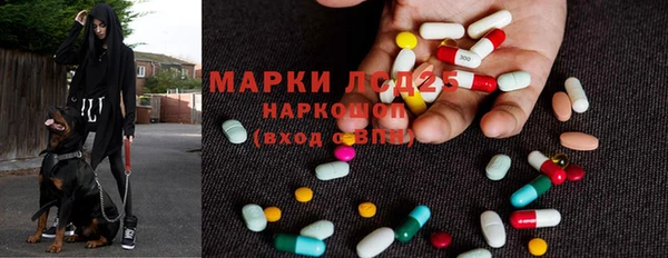 spice Богородск